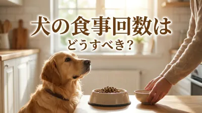 犬の食事回数はどうすべき?